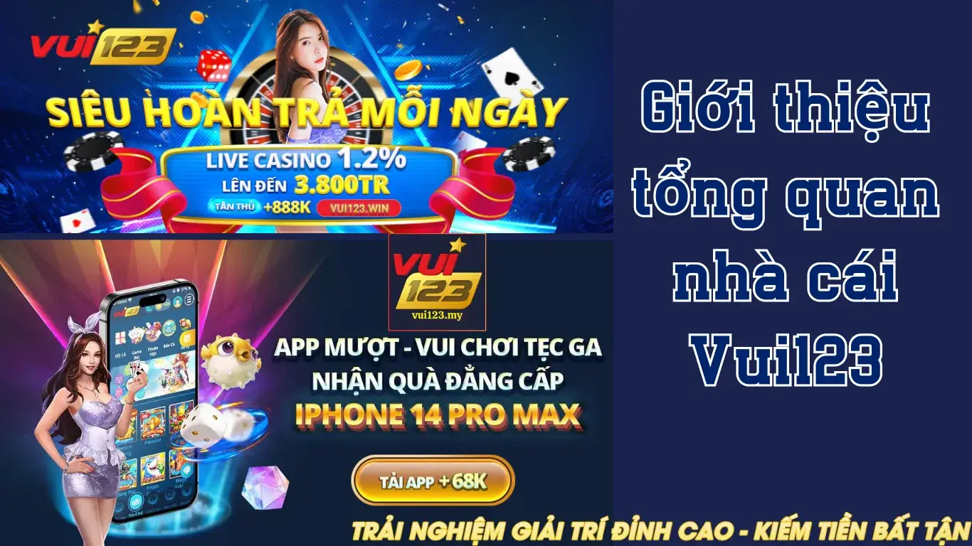 Pg99 có cung cấp hỗ trợ 24/7 cho người chơi không? - Pg99