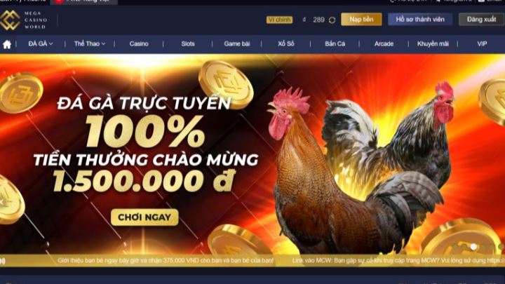 Rất nhiều thành viên Bancah5 đã tham gia - Bancah5