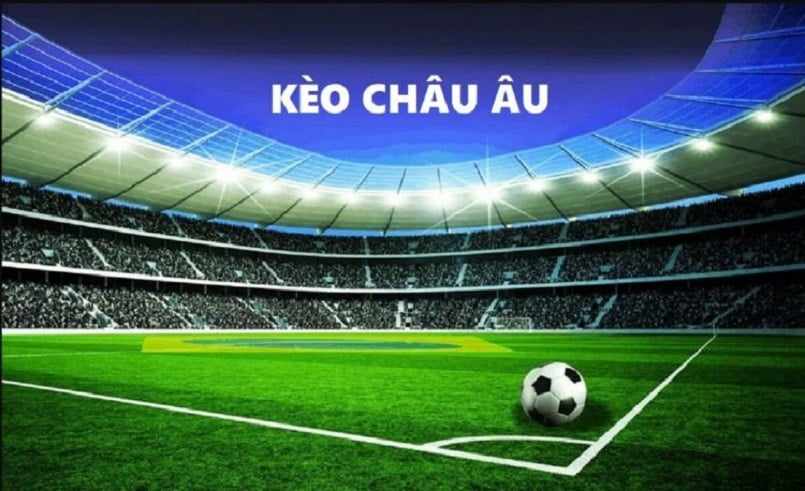 Jdb66 sẽ cập nhật các liên kết đăng ký và đăng nhập vào năm 2026 - Jdb66