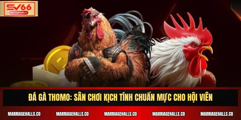 Đăng ký tài khoản để nhận phần thưởng 100000 đô la từ Ricwin - Ricwin