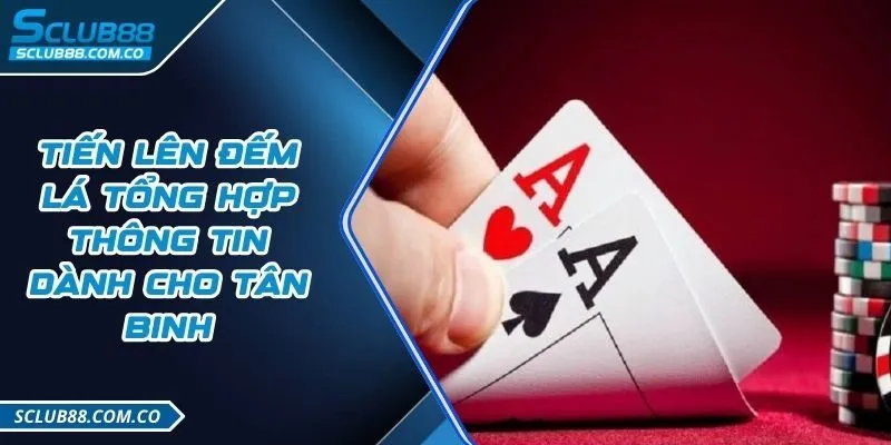 Sản phẩm cá cược của công ty game 117Bet - 117Bet