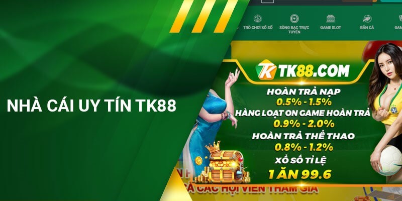 Các đại lý đạt chuẩn C54 cung cấp dịch vụ hỗ trợ nhiệt tình và chu đáo - C54