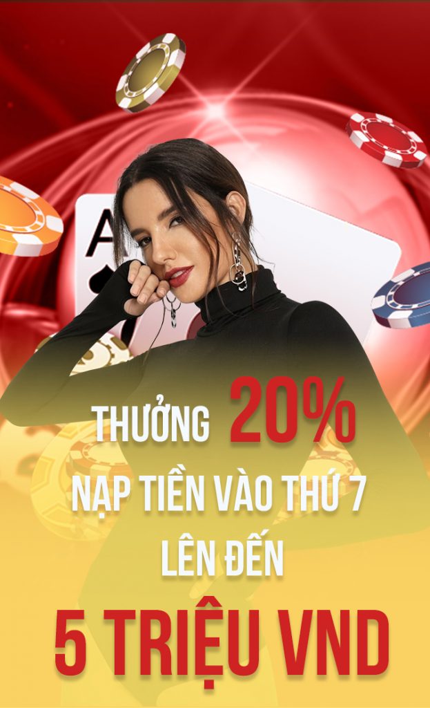 Tổng quan về Dp568: Một công ty game hàng đầu - Dp568