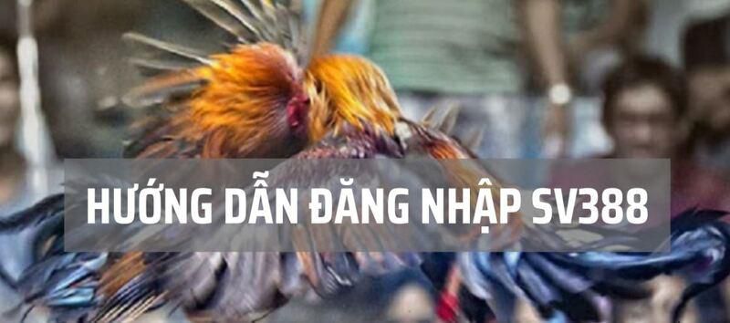 Việc tham gia các cuộc thi thể thao cấp Subet có phải là bất hợp pháp không? - Subet