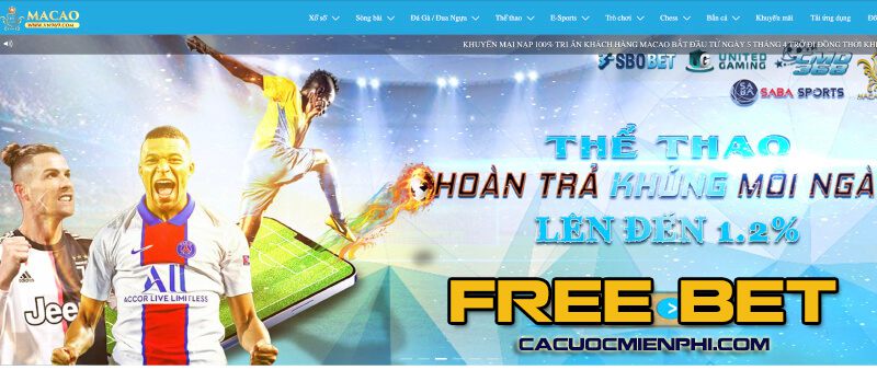 VII Các vấn đề thường gặp khi chơi game cấp độ Dk88 - Dk88
