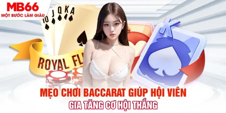 Hướng dẫn vận hành kinh doanh Ga6789 - Ga6789