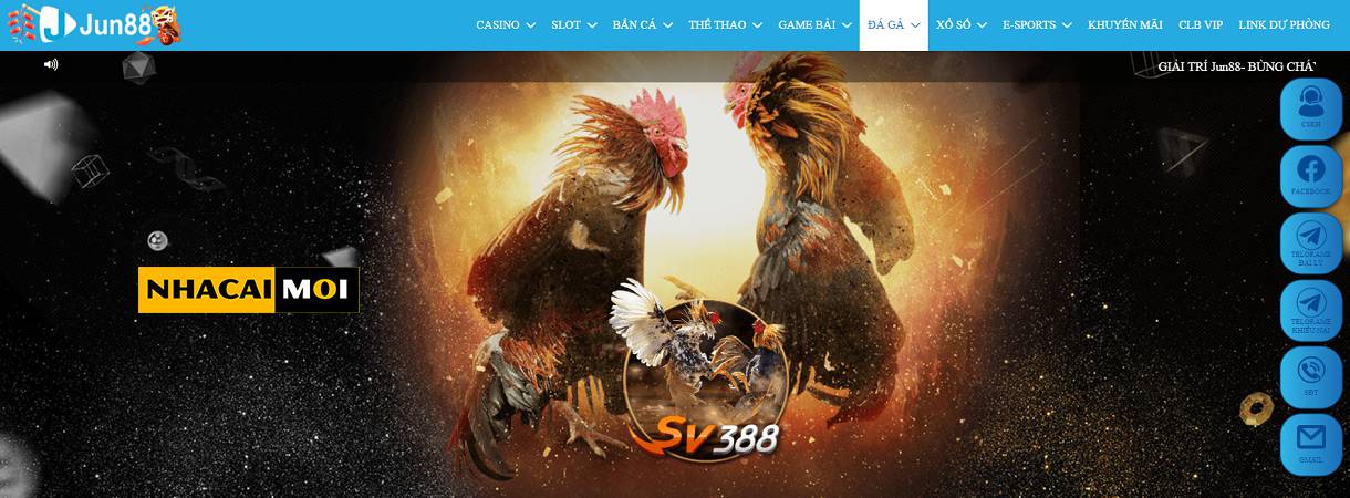 Bet98 cung cấp rất nhiều trò chơi đa dạng - Bet98