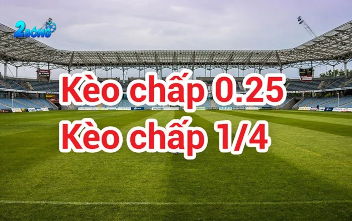 Stake thường xuyên tổ chức các sự kiện khuyến mãi và sự kiện tri ân khách hàng - Stake
