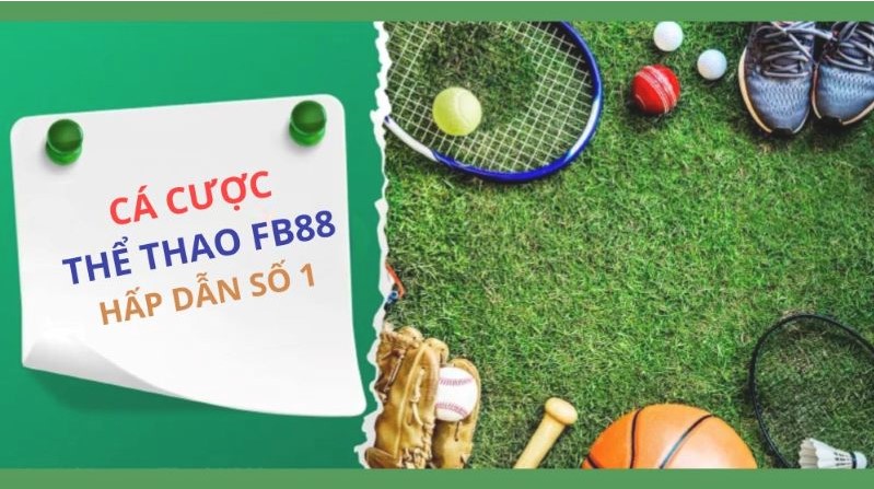 Kinh nghiệm của người đặt cược trong các sự kiện cấp Hubet - Hubet