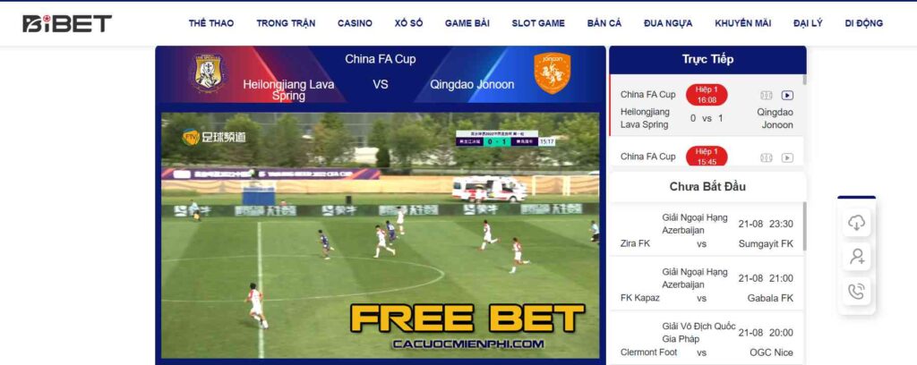 Dưới đây là một số hoạt động cá cược bạn có thể tham gia trên Natra88 Gaming - Natra88