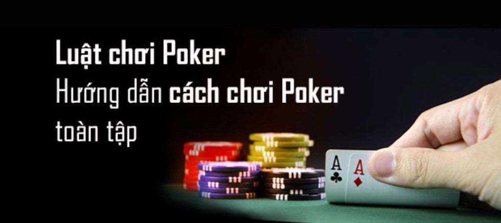 Giới thiệu các buổi biểu diễn trực tiếp đạt chuẩn Do99 - Do99