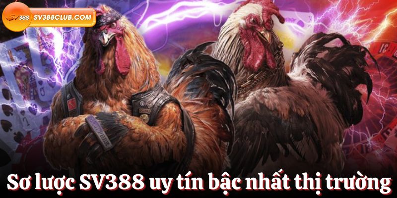 Thông báo quan trọng khi đăng nhập vào trang web game Da V6bet - V6bet