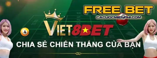 Tổng quan về các cung điện hạng 365Vn - 365Vn