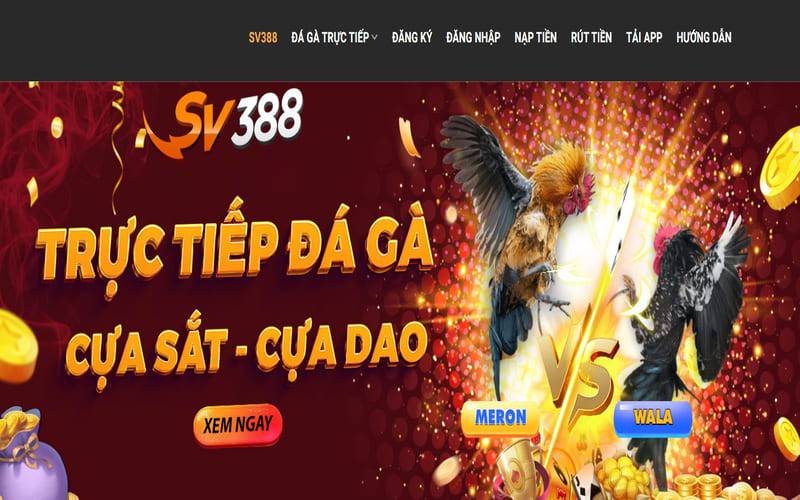 Dịch vụ cao cấp 23Win - 23Win