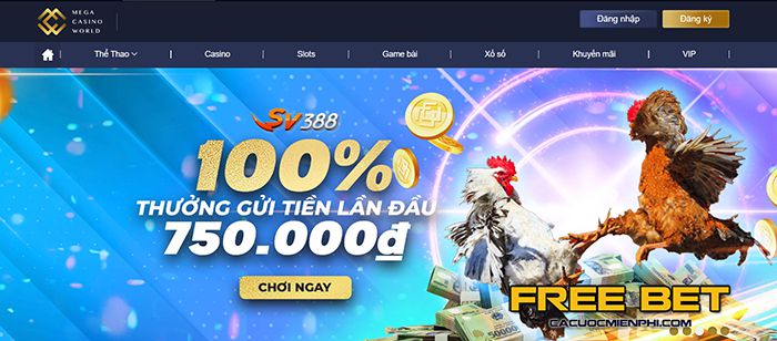 Quy tắc phát hành 1Xbit - 1Xbit