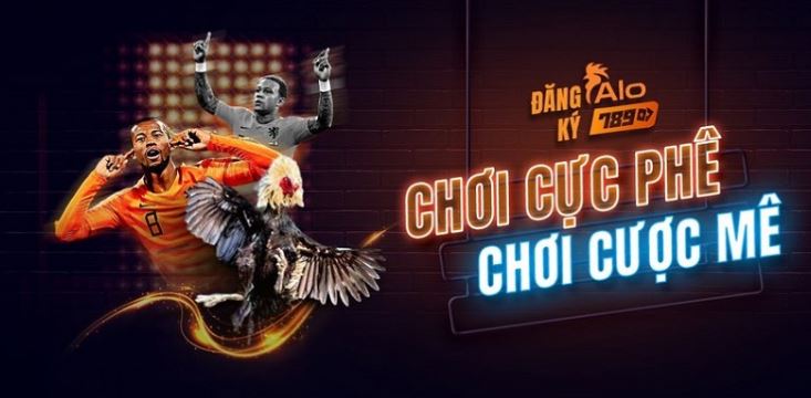 Ưu điểm và nhược điểm của các nền tảng trò chơi thẻ bài trực tuyến cấp Hb88 - Hb88