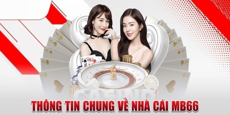 Vnq8 mang đến cơ hội tuyệt vời để bắt đầu làm quen với các trò chơi thể thao - Vnq8