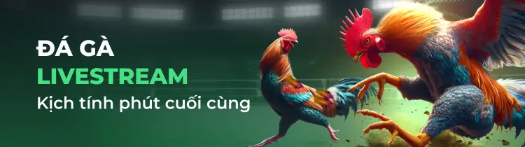 Giới thiệu trang web trò chơi 888B - 888B